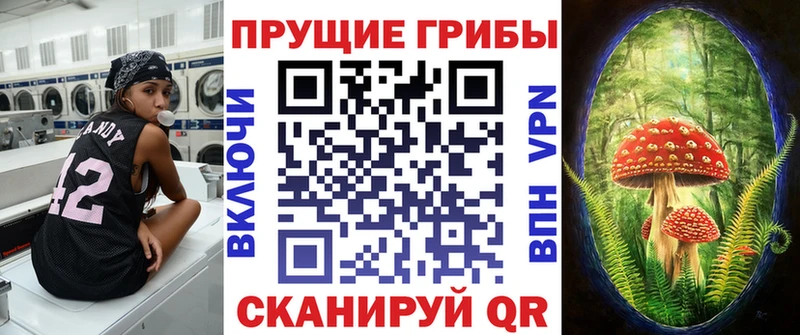 hydra зеркало Хвалынск Галлюциногенные грибы прущие грибы