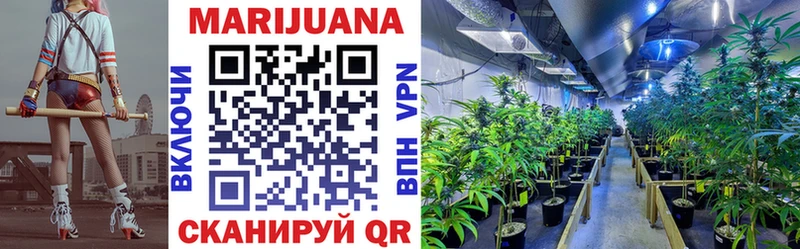 Каннабис SATIVA & INDICA  где продают   hydra ССЫЛКА  Хвалынск 